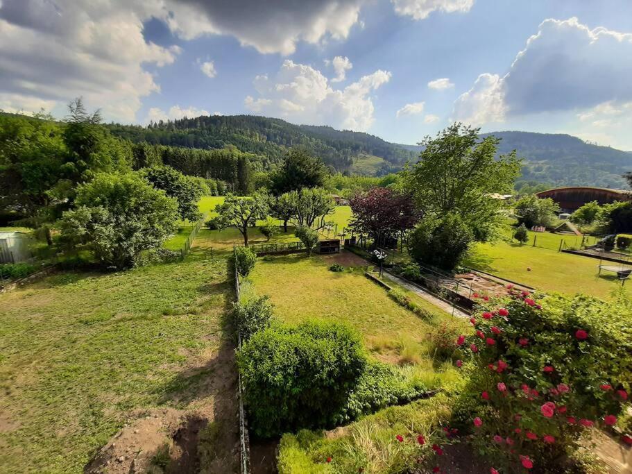 Chez Vovone 3 Etoiles Clevacances Saulxures-sur-Moselotte Exterior foto