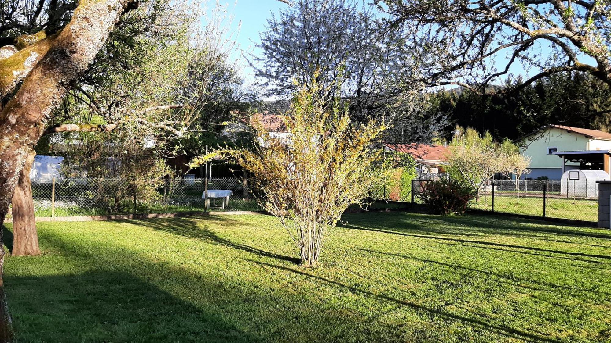 Chez Vovone 3 Etoiles Clevacances Saulxures-sur-Moselotte Exterior foto
